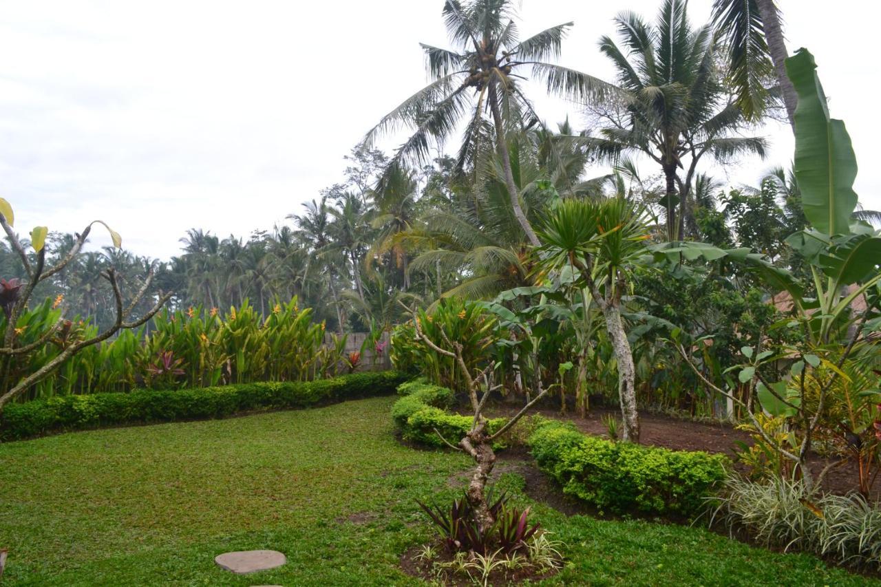 Buda Cottage Ubud Eksteriør bilde