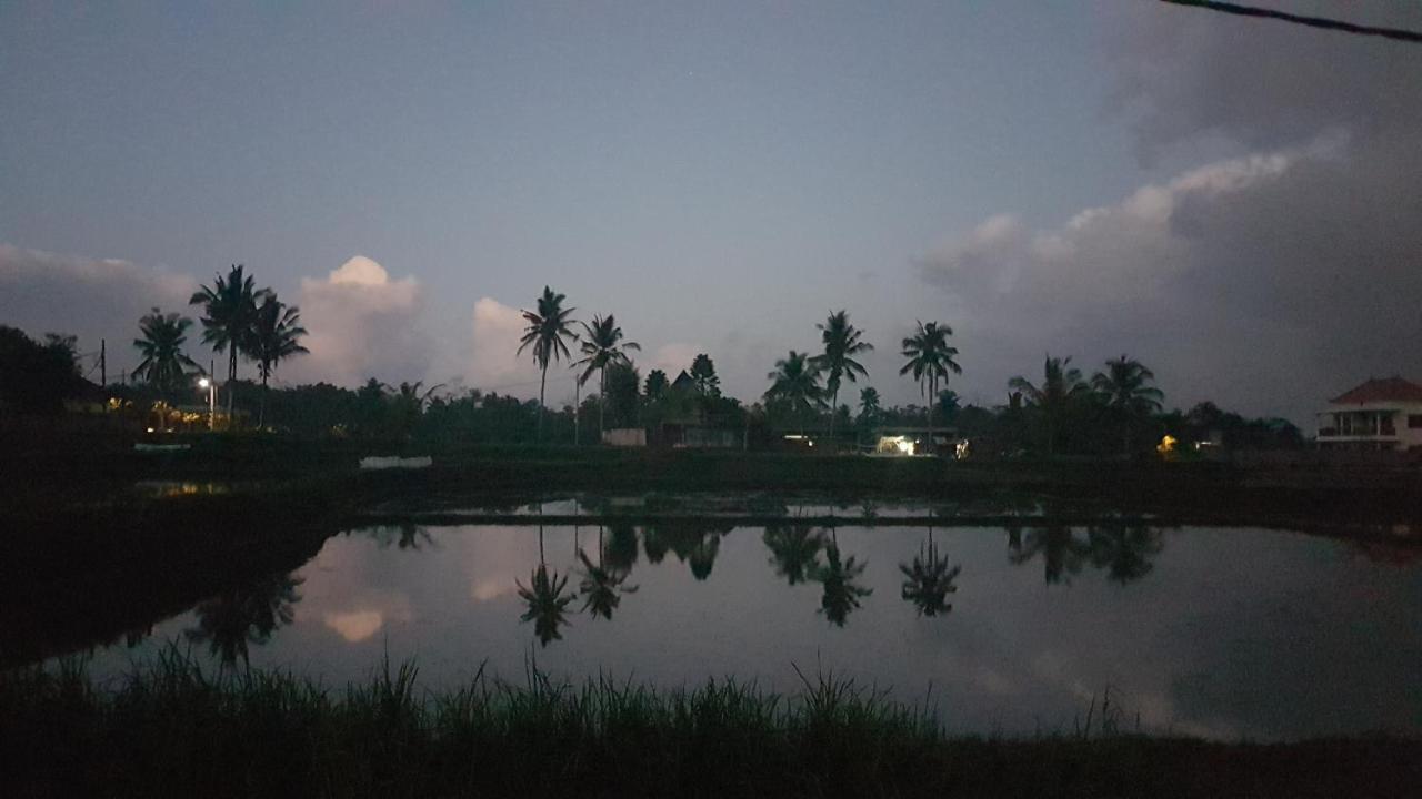 Buda Cottage Ubud Eksteriør bilde