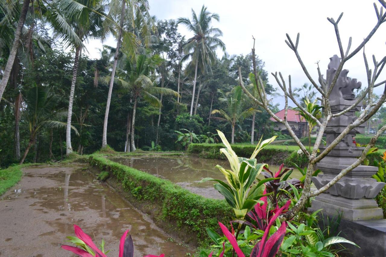 Buda Cottage Ubud Eksteriør bilde