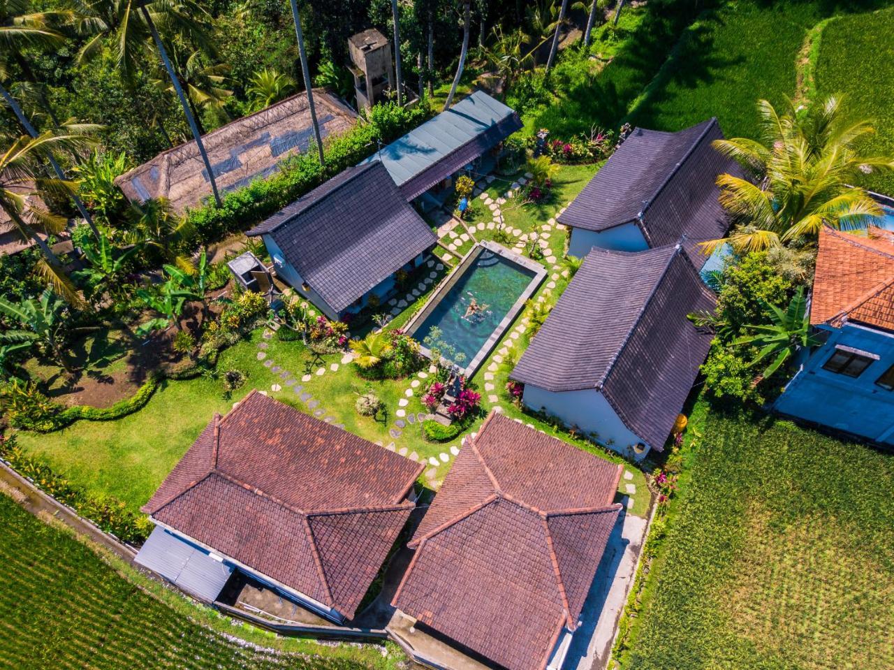 Buda Cottage Ubud Eksteriør bilde